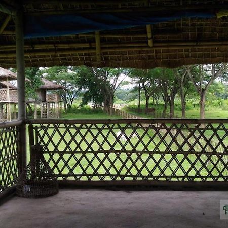 Dhansiri Eco Camp Bokākhāt Buitenkant foto